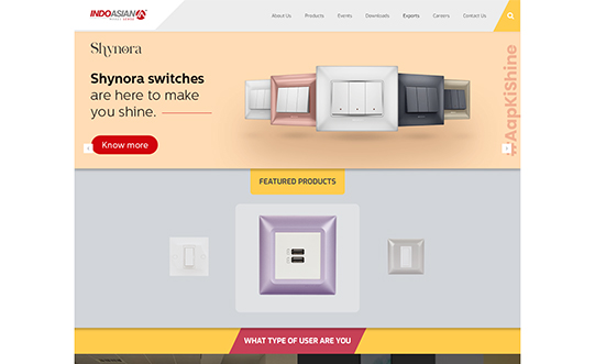 Homepage of Indoasian | Aquil Tech labs