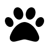 Aquil Tech labs