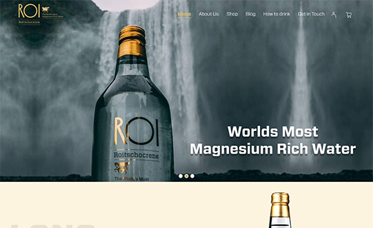    Homepage of ROI Water | Aquil Tech Labs